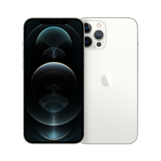 iPhone 12 Pro Max 256GB Zilver
