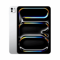 iPad Pro 11 inch (2024)