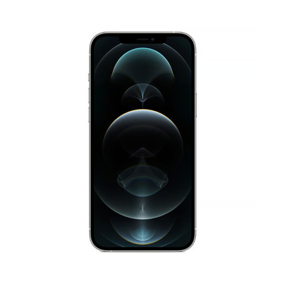 iPhone 12 Pro Max 256GB Zilver simlockvrij