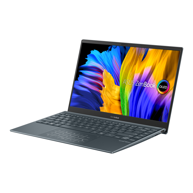 Asus Zenbook 13 UM325 2021 in Grijs